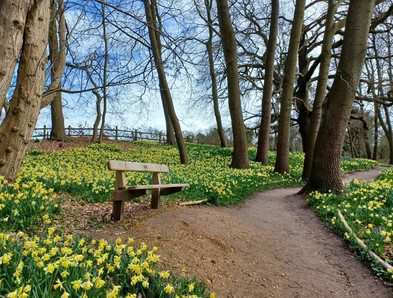 top spring destinations blog tile